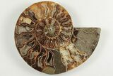 4.55" Cut & Polished, Agatized Ammonite Fossil - Madagascar - #200146-2